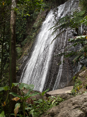 Falls, El Yunque Rain Forest, Puerto Rico